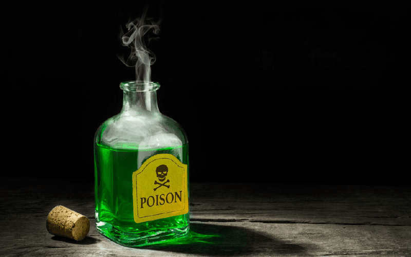 never use poison for rat control