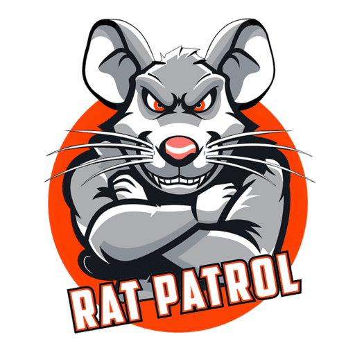 Rat Control Florida